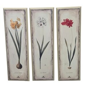 Vintage Botanical Prints Set of 3 Flower Bulb Wall Art Panels 28 1/8"H x 8 7/8"W